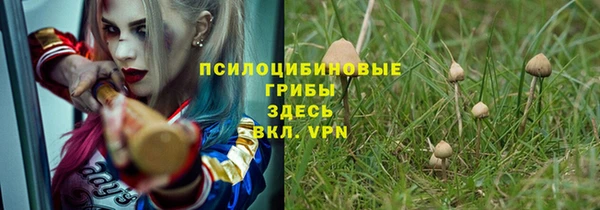 шишки Алексин